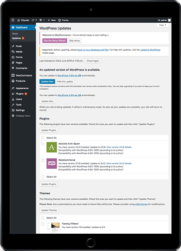 WordPress Maintenance Galway Ireland